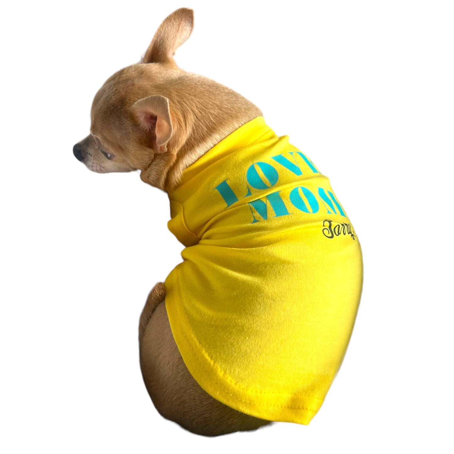 TD Love Mom-Sorry Dad Dog Coat Breathable Polyester XS Trench for Cats Summer Pet Apparel Accessory