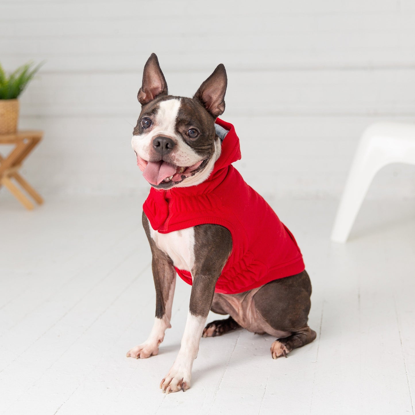 TD GF Luxury Urban Dog Hoodie Elasto-Fit Pet Coat in XL XXL Sizes Winter & Summer Polyester & Cotton Material Solid Pattern