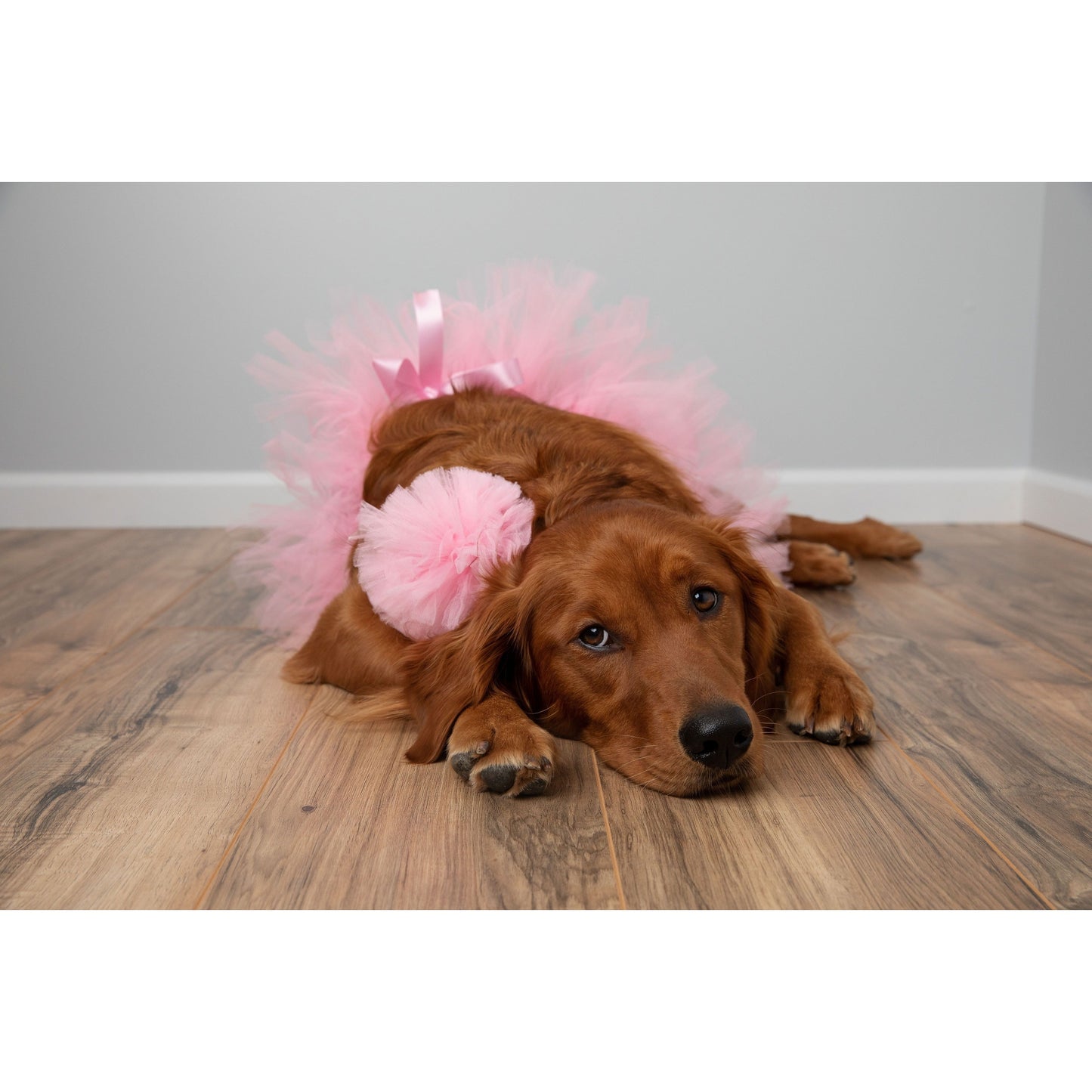 TD Medium Light Pink Dog Tutu Skirt Stylish Pet Clothes