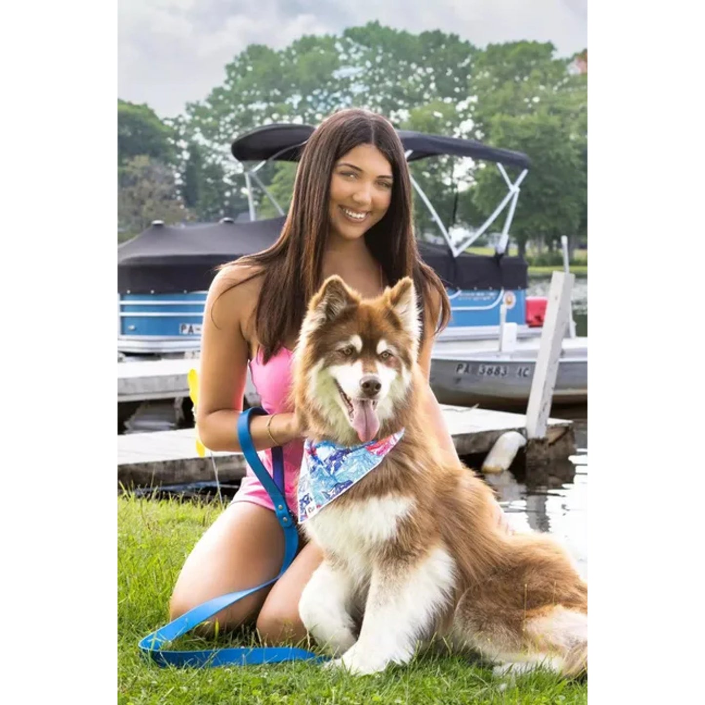 TD Painted Peaks Dog Bandana Stylish Pet Clothes for Canine Comfort
