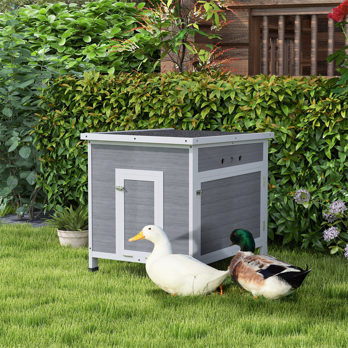 Duck House