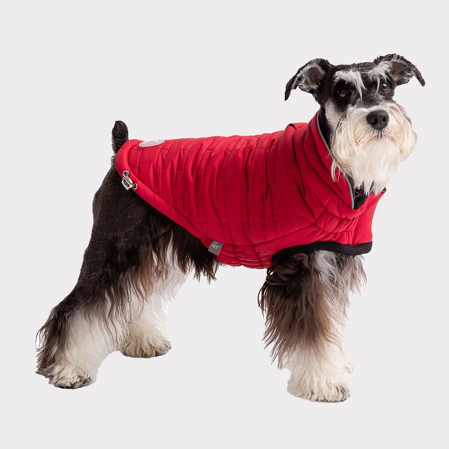 TD GF Classic Reversible ElastoFit Chalet Jacket XS Size Pet Sweater Coat for Dogs Solid Pattern Autumn Season Accessory