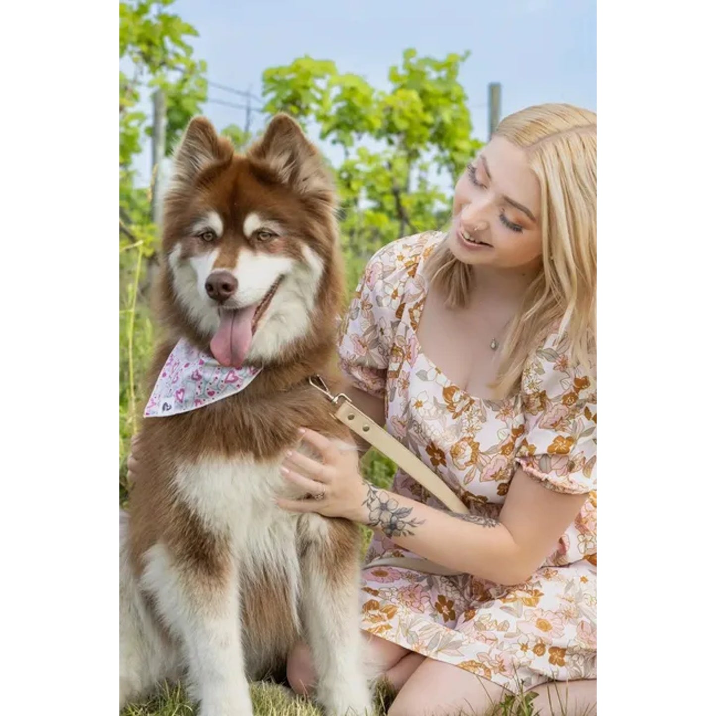 TD Cheers to Love Dog Bandana Stylish Pet Clothes for Dogs