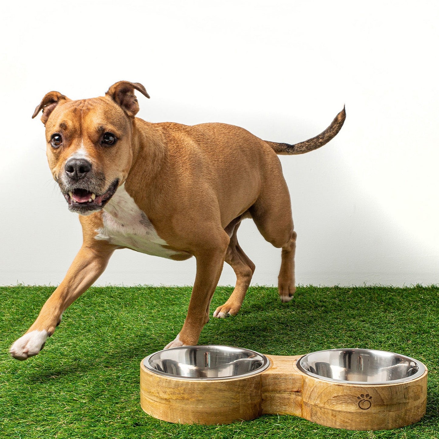 TD GF Double Diner Pet Wood & Metal Feeder for Outdoor Use Cat & Dog Bowl for Food & Water Animal Feeders