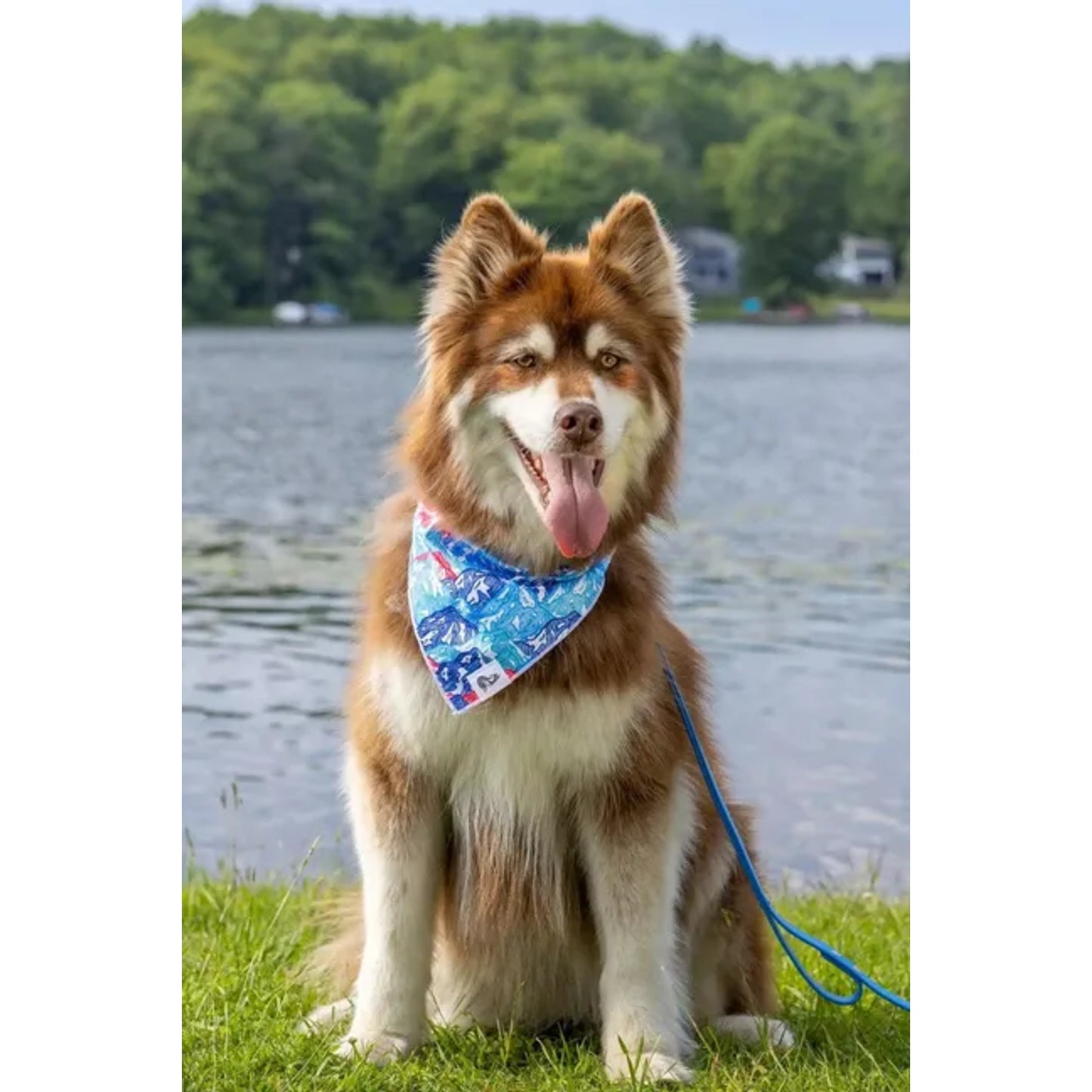 TD Painted Peaks Dog Bandana Stylish Pet Clothes for Canine Comfort
