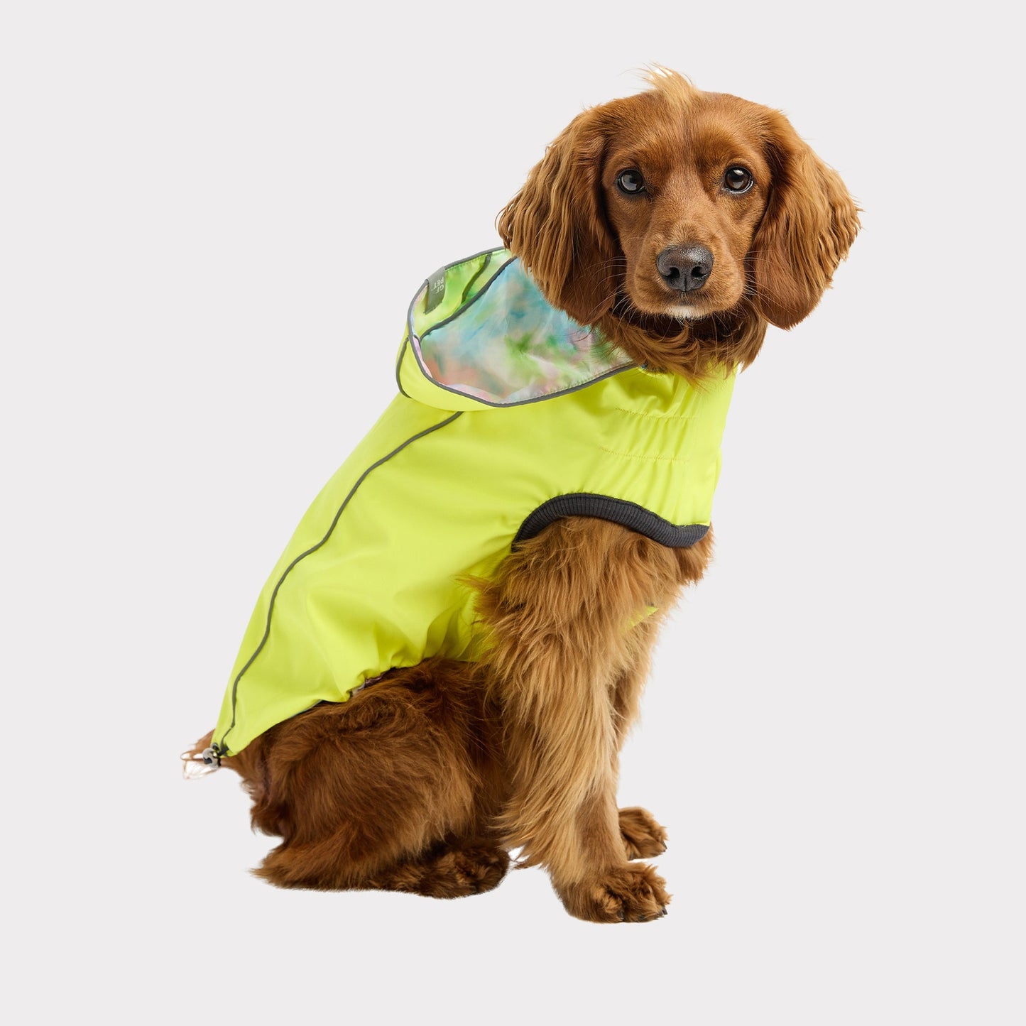 TD GF Classic Reversible Pet Raincoat Polyester XS to XL Free Sample Dog Accessory for Chinese New Year and Halloween Seasons