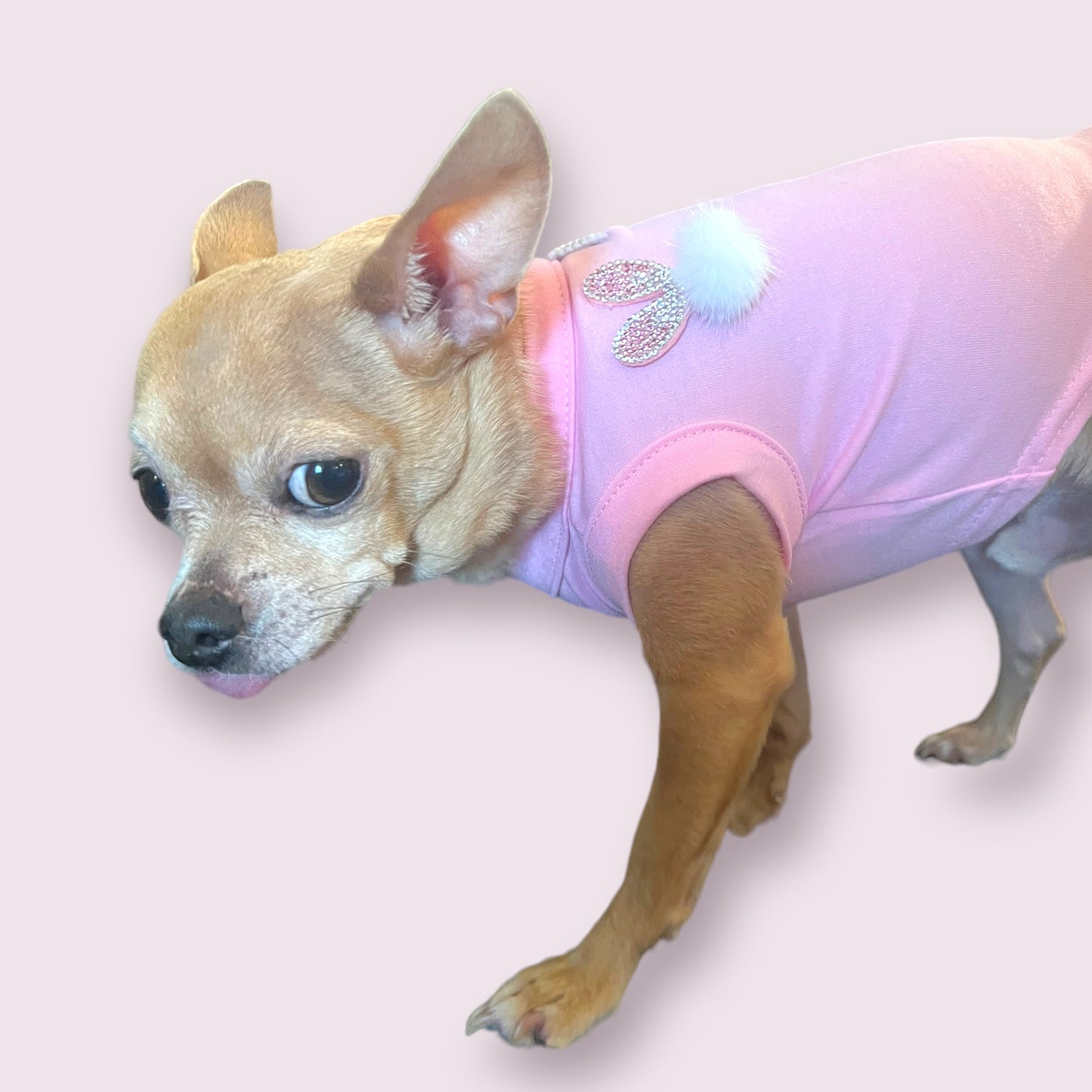 TD Classic Style XS-XL Fuzzy Easter Bunny Dog T-Shirt/Coverall Winter/Summer Polyester Cloth Pet Accessory