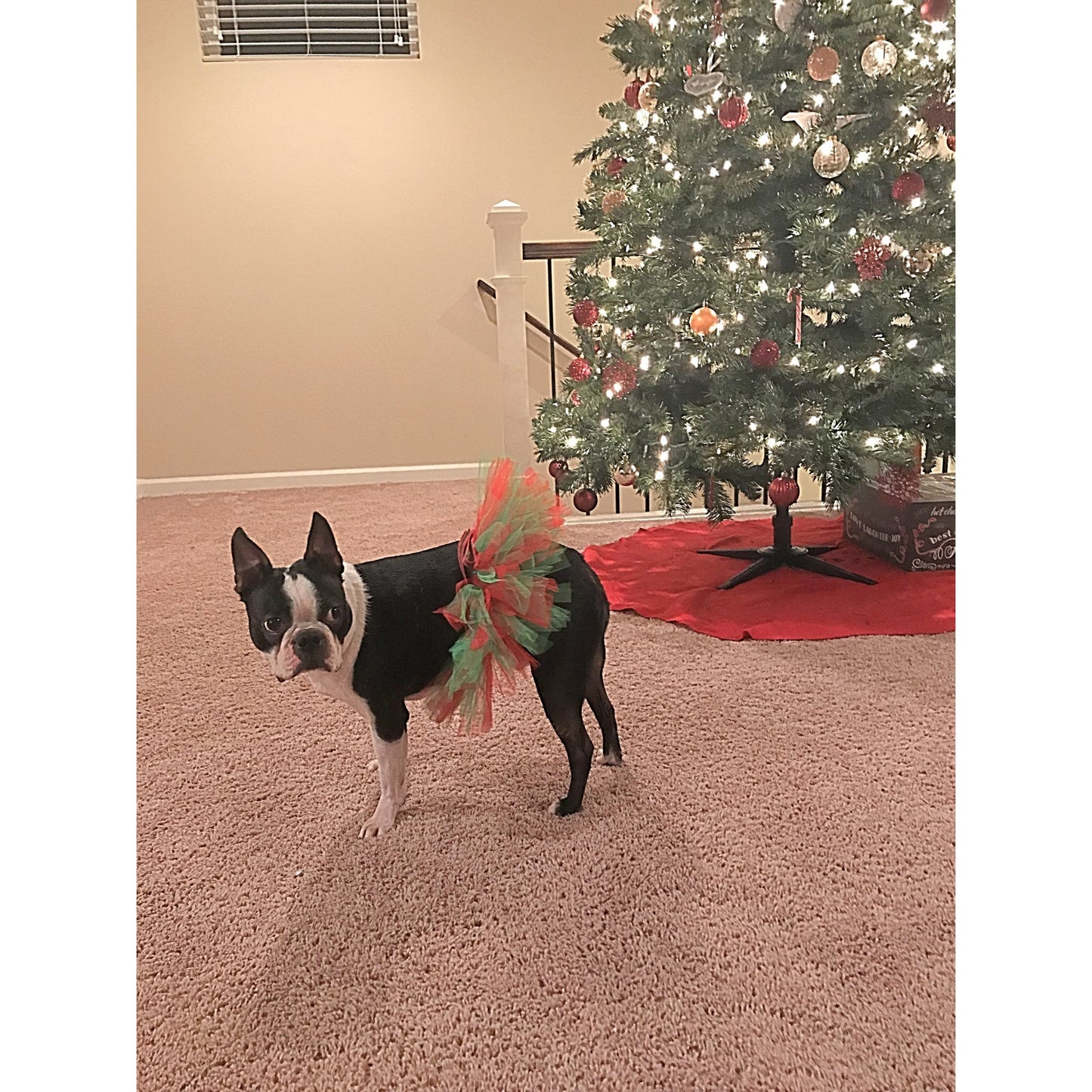 TD XS Size Red and Green Christmas Dog Tutu Skirt Pet Clothes