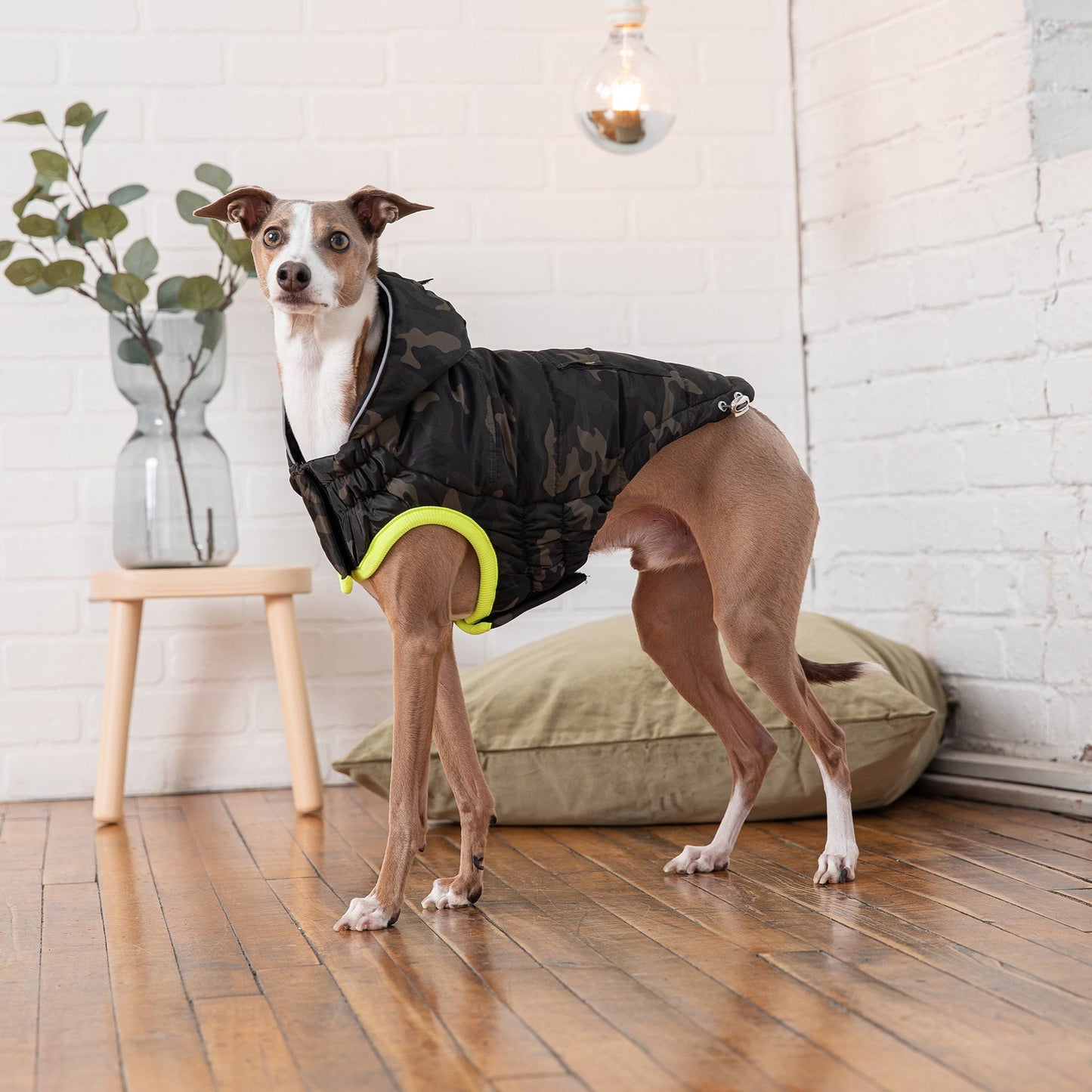 TD GF Pet Recycled Parka Classic XL/XXL Dog Coats Solid Pattern Autumn Winter Accessory Made Polyester Cotton Fleece Cloth