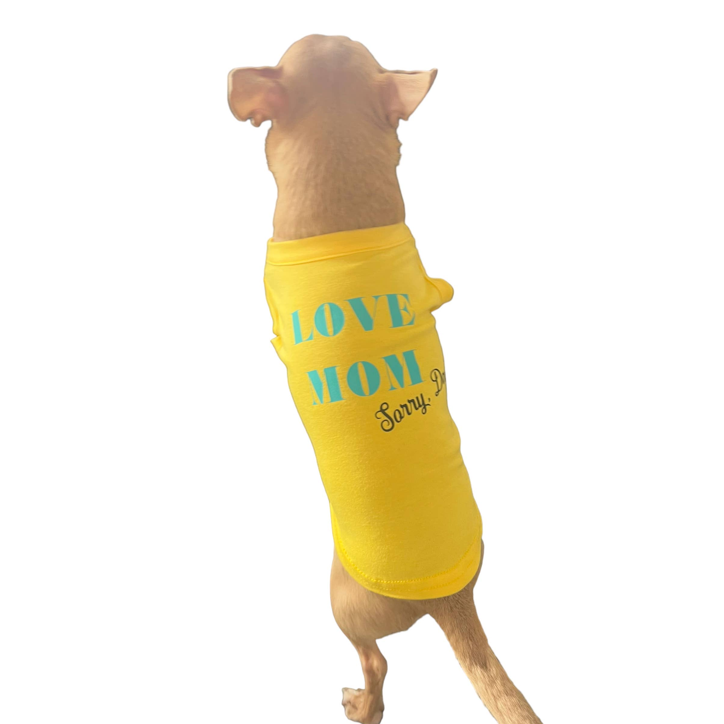TD Love Mom-Sorry Dad Dog Coat Breathable Polyester XS Trench for Cats Summer Pet Apparel Accessory