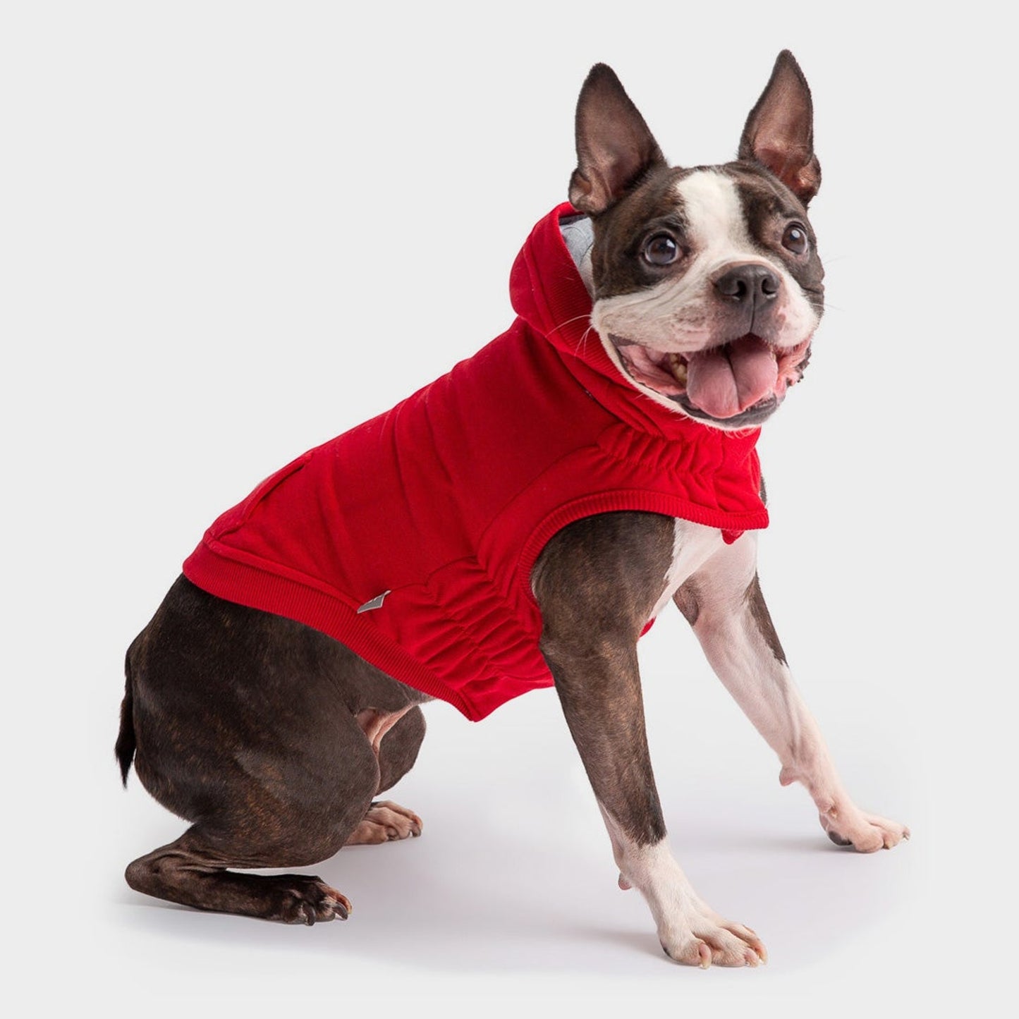 TD GF Luxury Urban Dog Hoodie Elasto-Fit Pet Coat in XL XXL Sizes Winter & Summer Polyester & Cotton Material Solid Pattern