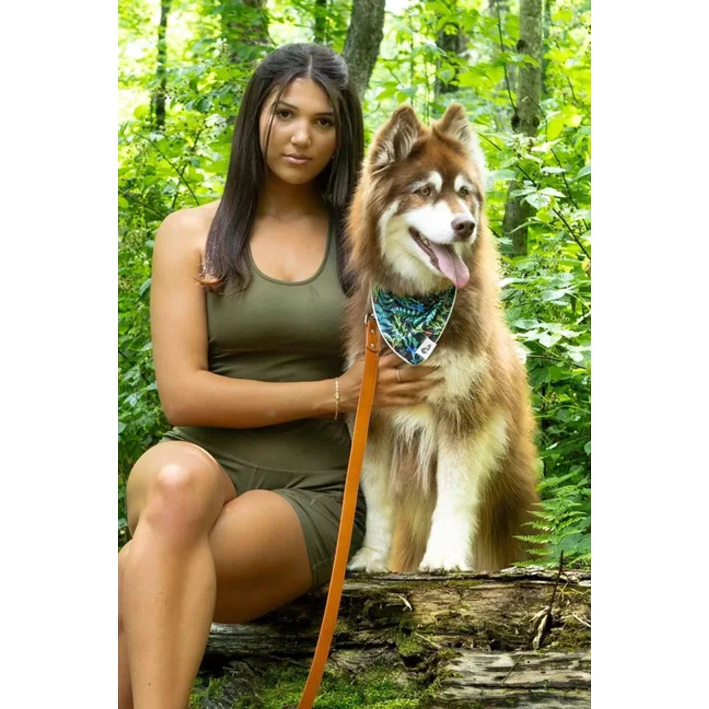 TD Magical Fern Forest Dog Bandana Stylish Pet Clothes for Dogs