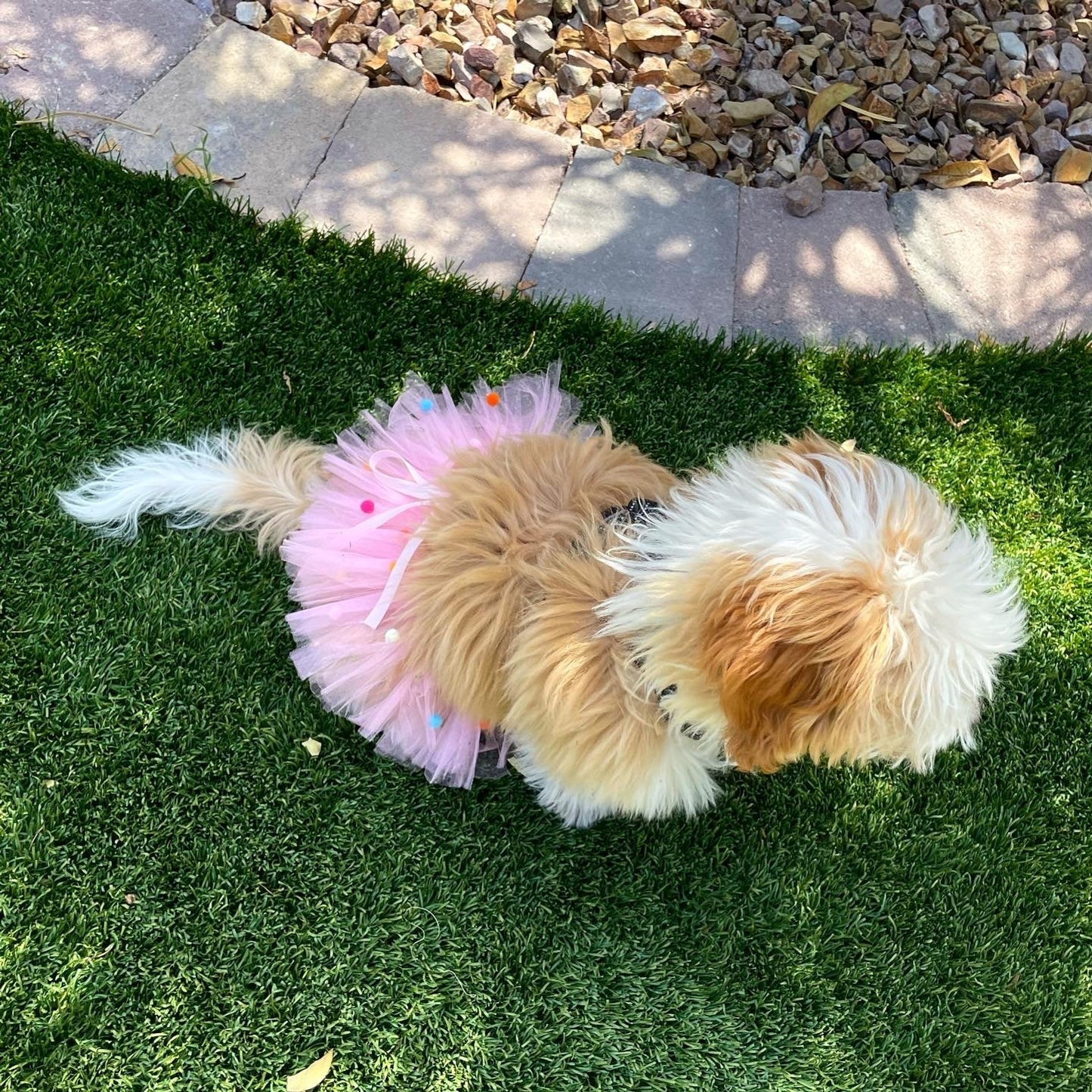 TD XS Pink Pom Pom Dog Tutu Skirt Cute Pet Clothes
