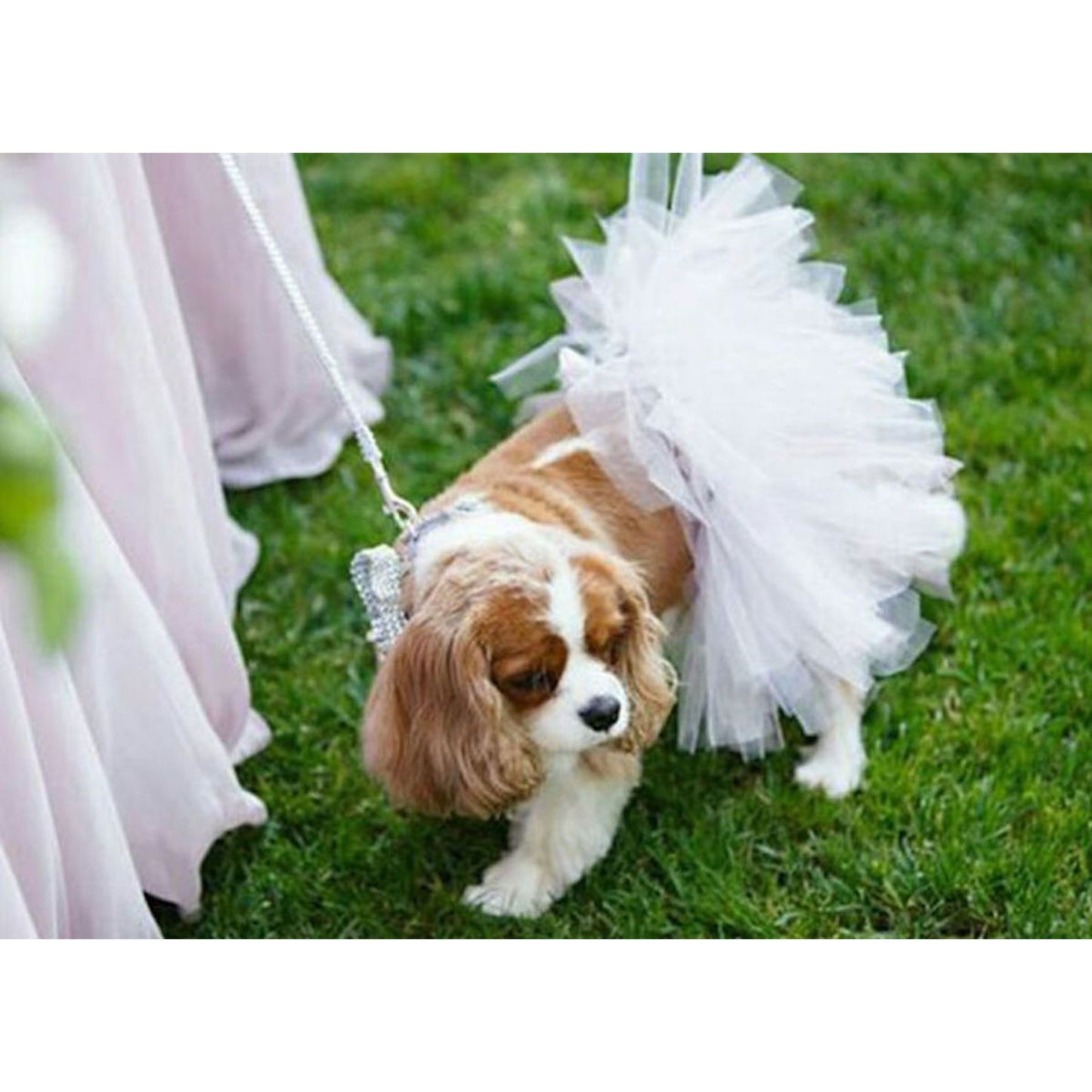 TD XS White Bridal Dog Tutu Skirt Pet Clothes