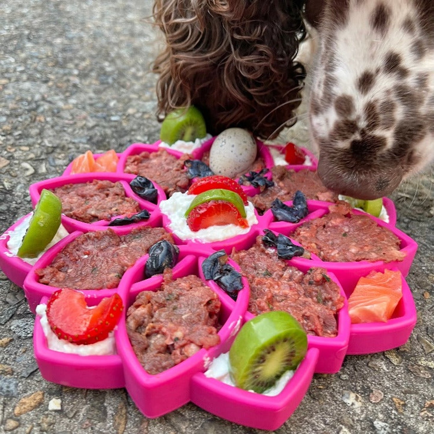 TD 2-in-1 ETray Mandala Design Silicone Outdoor Travel Bowls for Cats and Dogs Enrichment Tray for Animals' Food