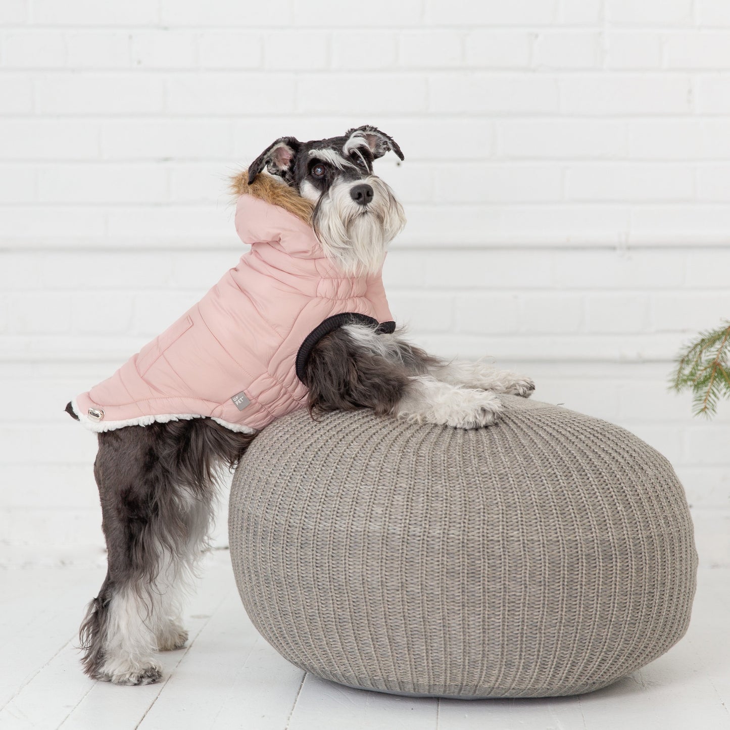 TD GF Luxury Classic Pet ElastoFit Urban Dog Parka XXL Solid Pattern Fleece Trench Coat for Autumn Winter Pet Clothes Accessory