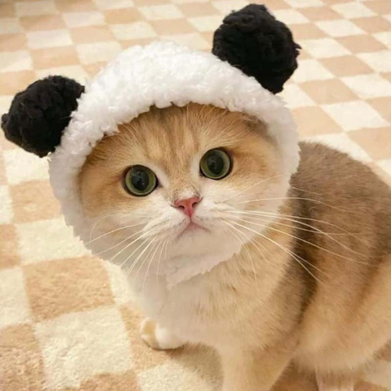 1 or 2pcs Cute Cat Costume Warm Bear Hats for Cat Adjustable Soft Small Pet Headwear Bear Hat for Cat Puppy Dog Holiday