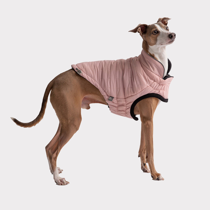 TD GF Classic Reversible Elasto-Fit Chalet Jacket for Pets Polyester XS-XXL Solid Pattern Sweaters Autumn Accessories Clothes
