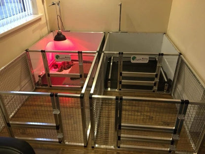 United States WAREHOUSE 7 DAYS to DOOR Metal and Glass Puppy Whelp Ing Box Large Aluminum Dog Elevated Whelp Ing Box with Fence