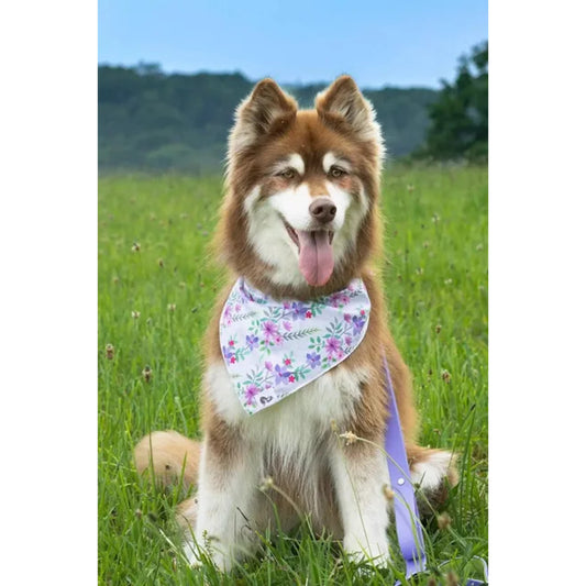 TD Pet Clothes Wildflower Meadow Dog Bandana