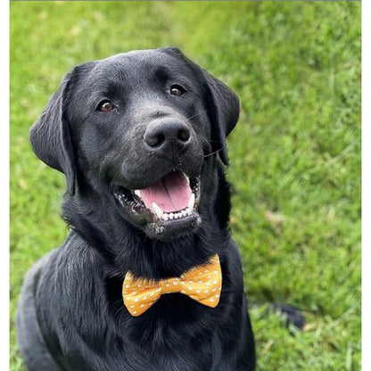 TD Cutie Dog Bow Tie Fashionable Pet Clothes Accessory