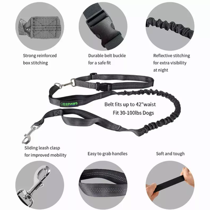 TD JESPET Dual Handle Waist Leash for Medium Large Dogs Hand-Free Running Reflective Bungee Adjustable for Durable Exercise