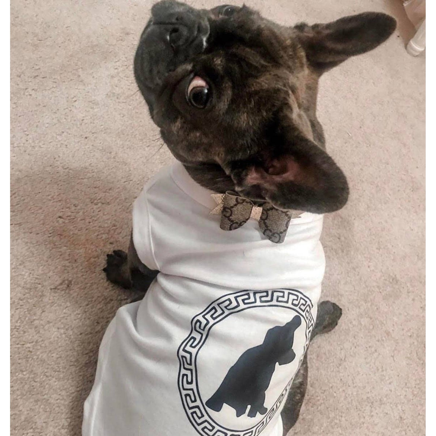 TD Pawsace Tee Premium Pet Clothes