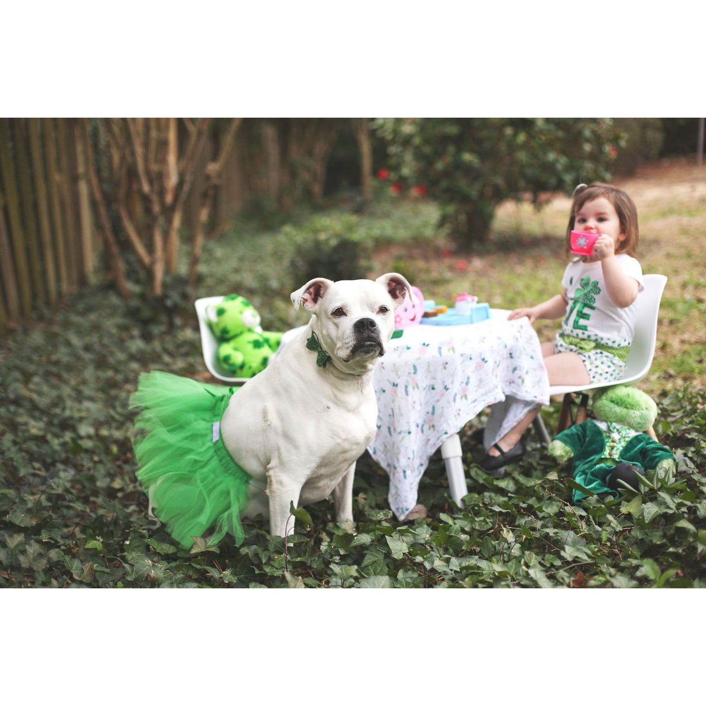 TD Green Christmas Dog Tutu Skirt Polyester XS Small XL Coat & T-Shirt Solid Pattern Accessory for Pet Protection & Dress up