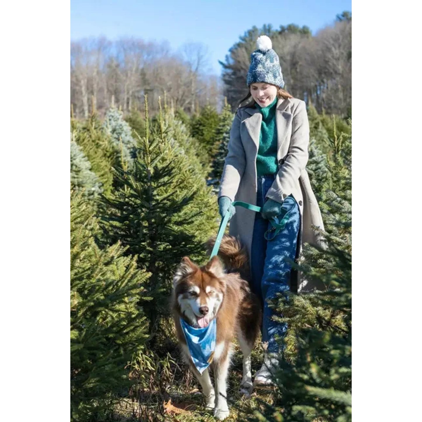 TD Siberian Spruce Pet Clothes Stylish Dog Bandana