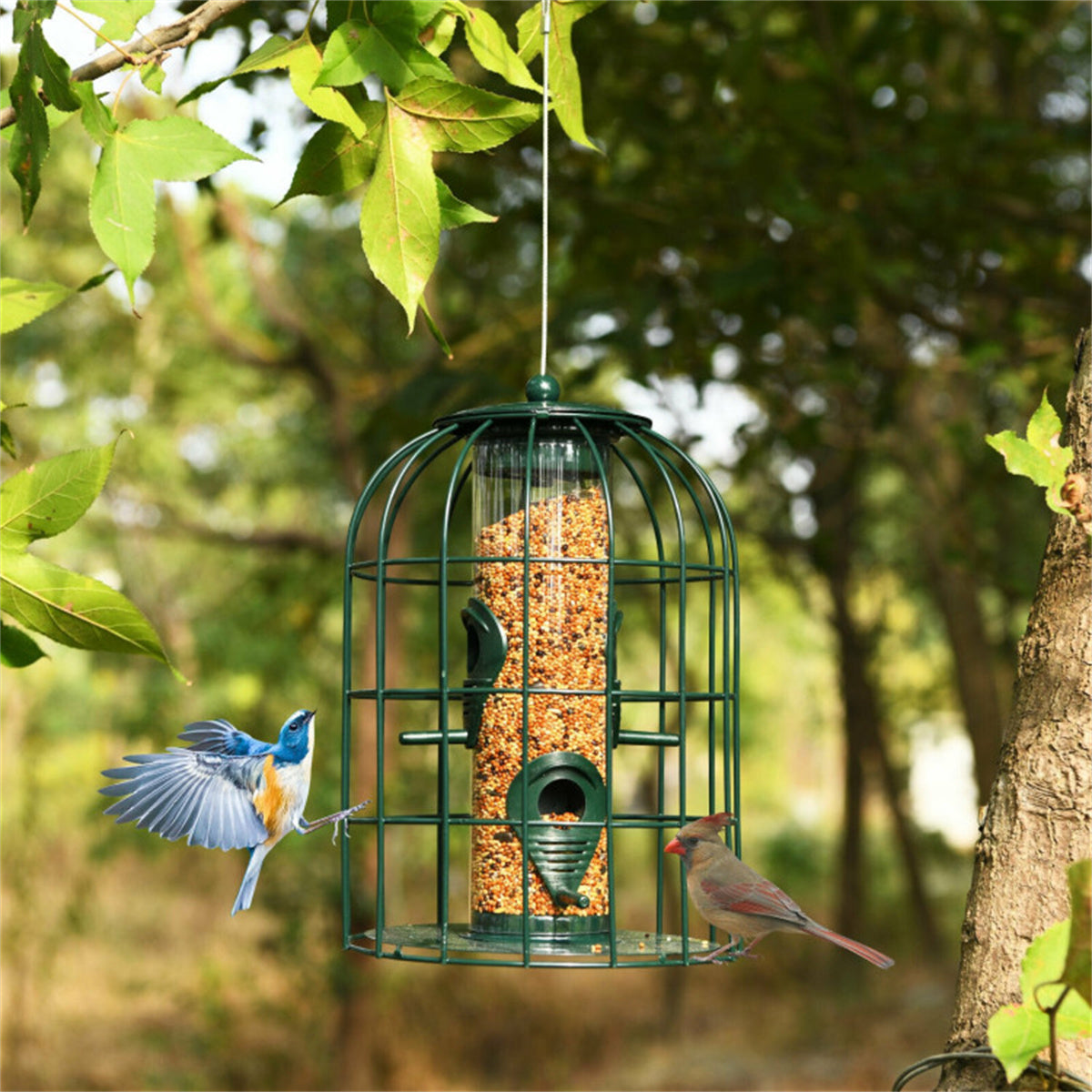 Durable Stainless Steel Green Wild Bird Feeder Long-Lasting and Weatherproof