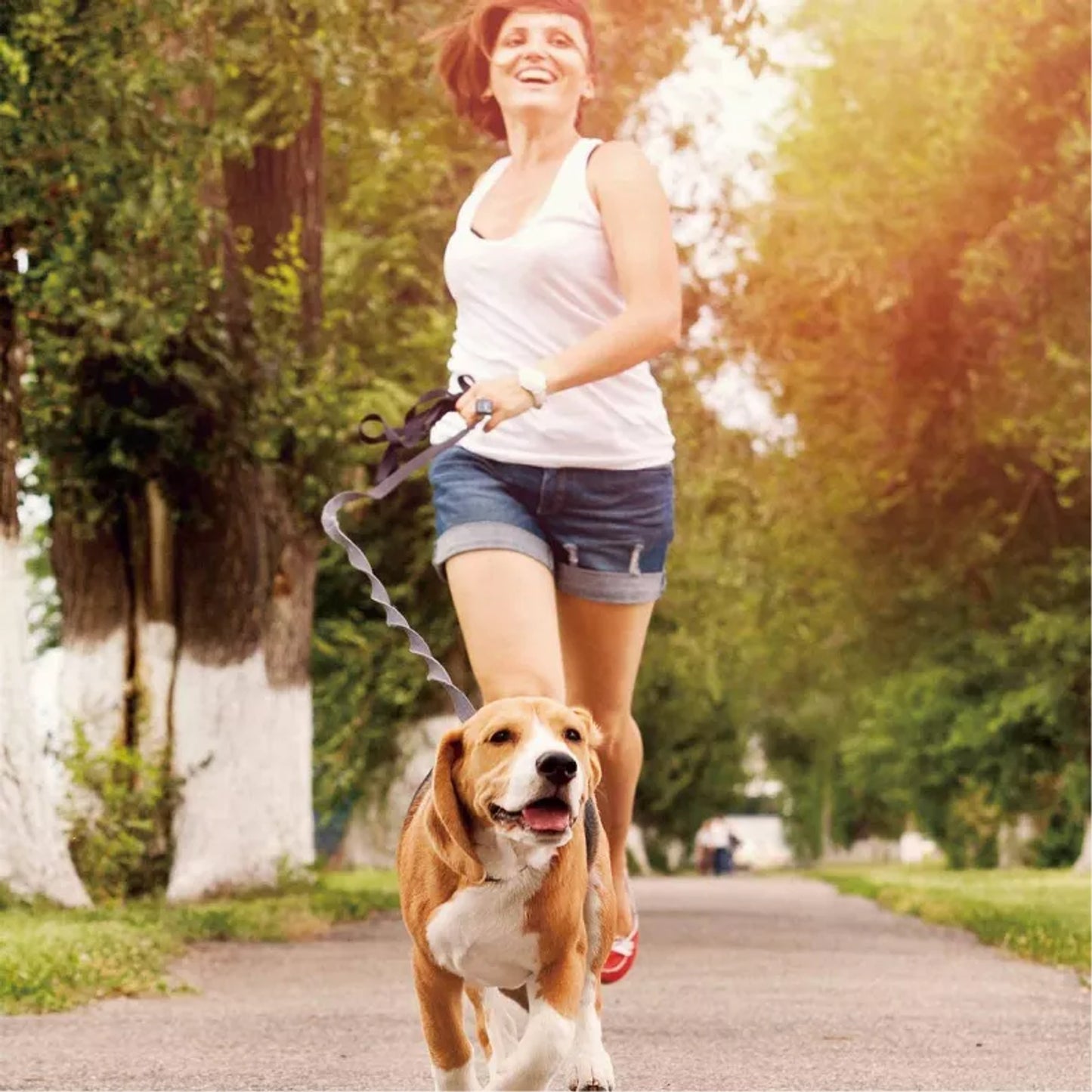 TD JESPET Dual Handle Waist Leash for Medium Large Dogs Hand-Free Running Reflective Bungee Adjustable for Durable Exercise
