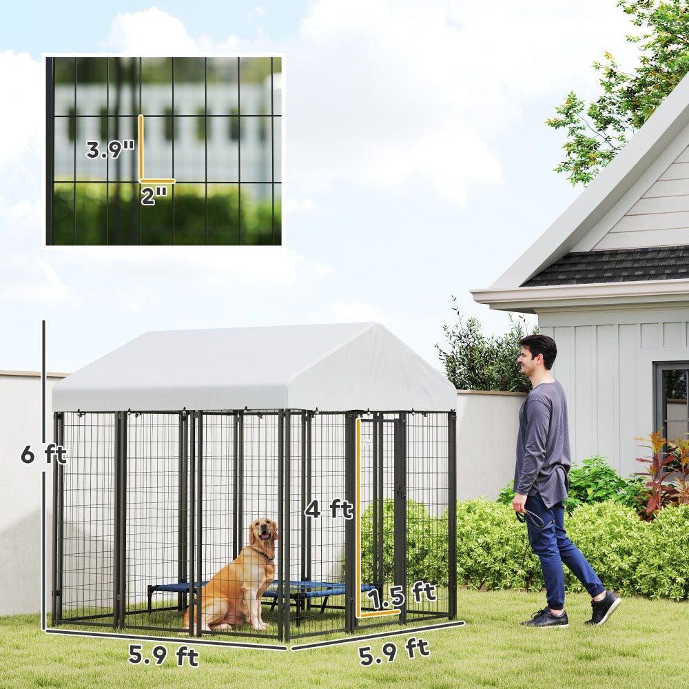 Dog Kennel