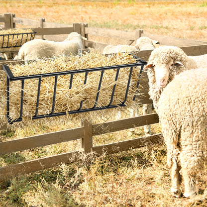 Heavy-Duty Steel Hay Feeder Large Capacity 40.8\" Long Wall Mounted Horse Hay Rack Iron Goat Hay Rack