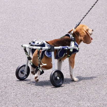 2 Wheels Dog Wheelchair for Back Legs, Pet Wheelchair Lightweight & Adjustable Assisting in Healing, Dog Cart/Wheelchair