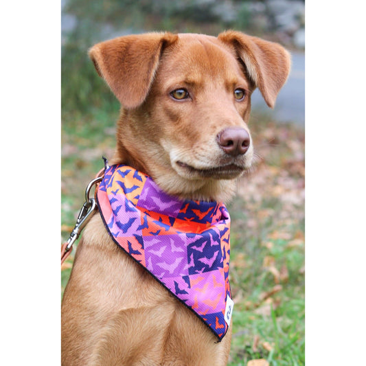 TD Spooky Bat Squares Dog Bandana Stylish Pet Clothes for Dogs