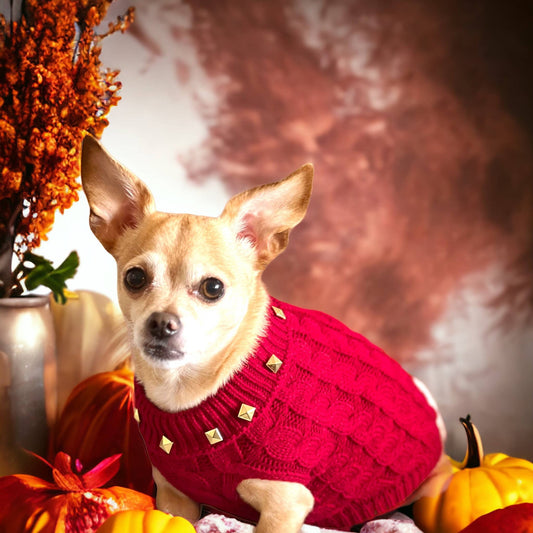 TD Studded Knit Turtleneck Pet Sweater Solid Pattern Cat Coat in XS and XL Sizes Free Sample Pet Accessory Coats