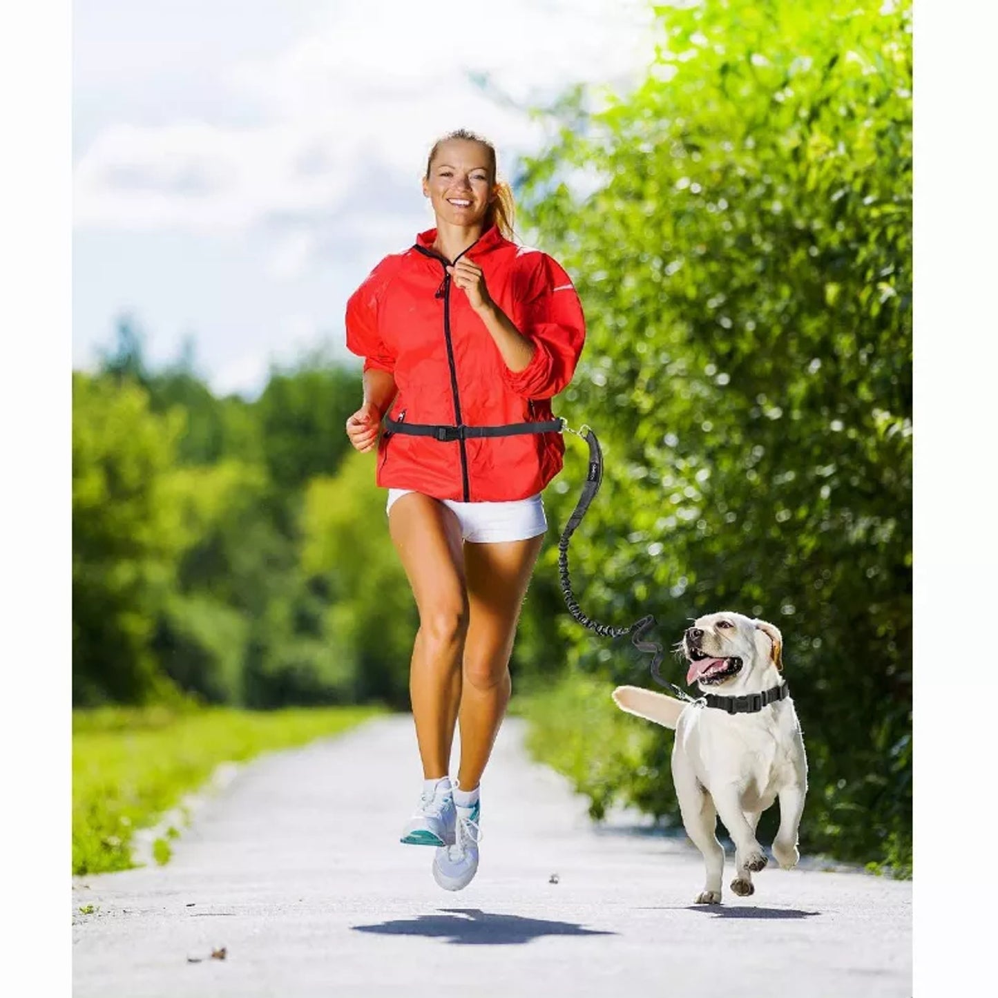 TD JESPET Dual Handle Waist Leash for Medium Large Dogs Hand-Free Running Reflective Bungee Adjustable for Durable Exercise
