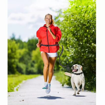 TD JESPET Dual Handle Waist Leash for Medium Large Dogs Hand-Free Running Reflective Bungee Adjustable for Durable Exercise
