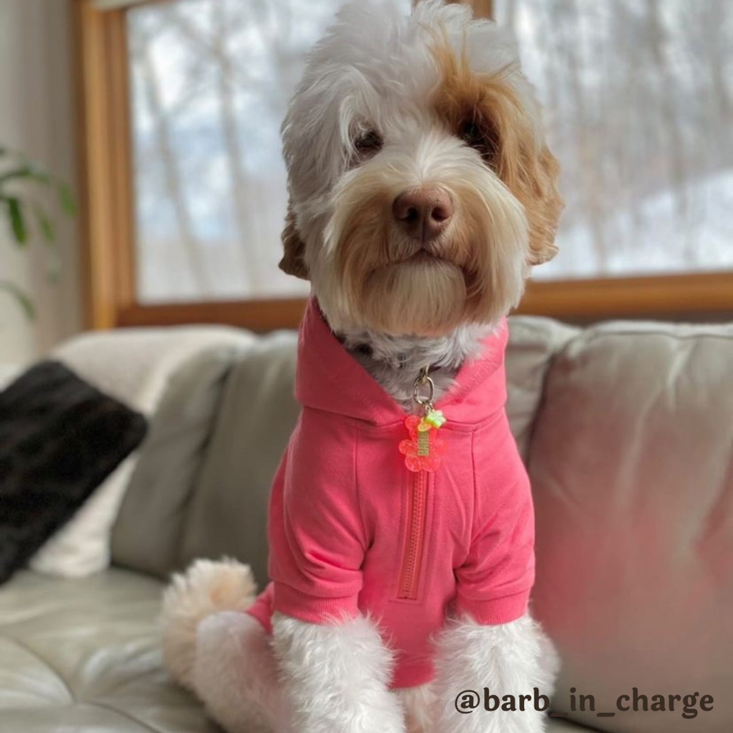 TD Cute AF Everyday Hoodie for Pets
