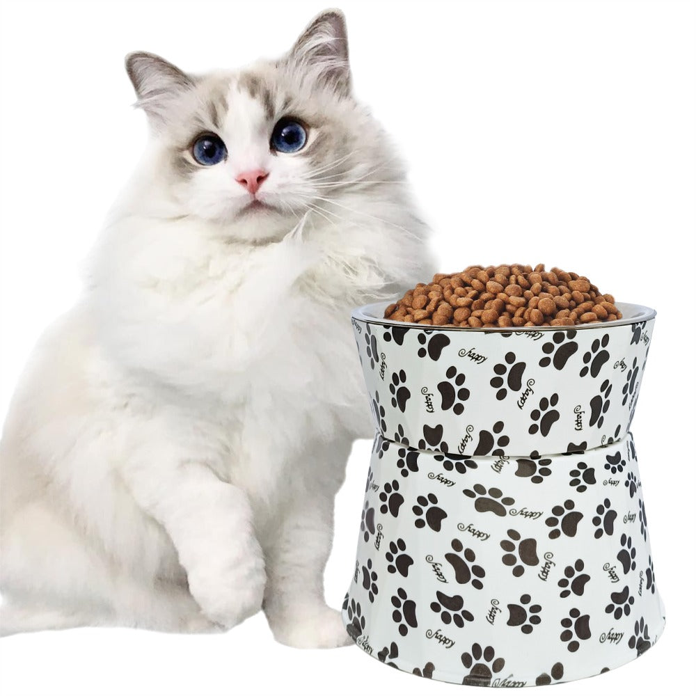 6" Anti-Vomiting Stainless Steel Pet Bowl for Small and Medium Dogs and Cats - Non-slip, Modern Design with Spine Protection