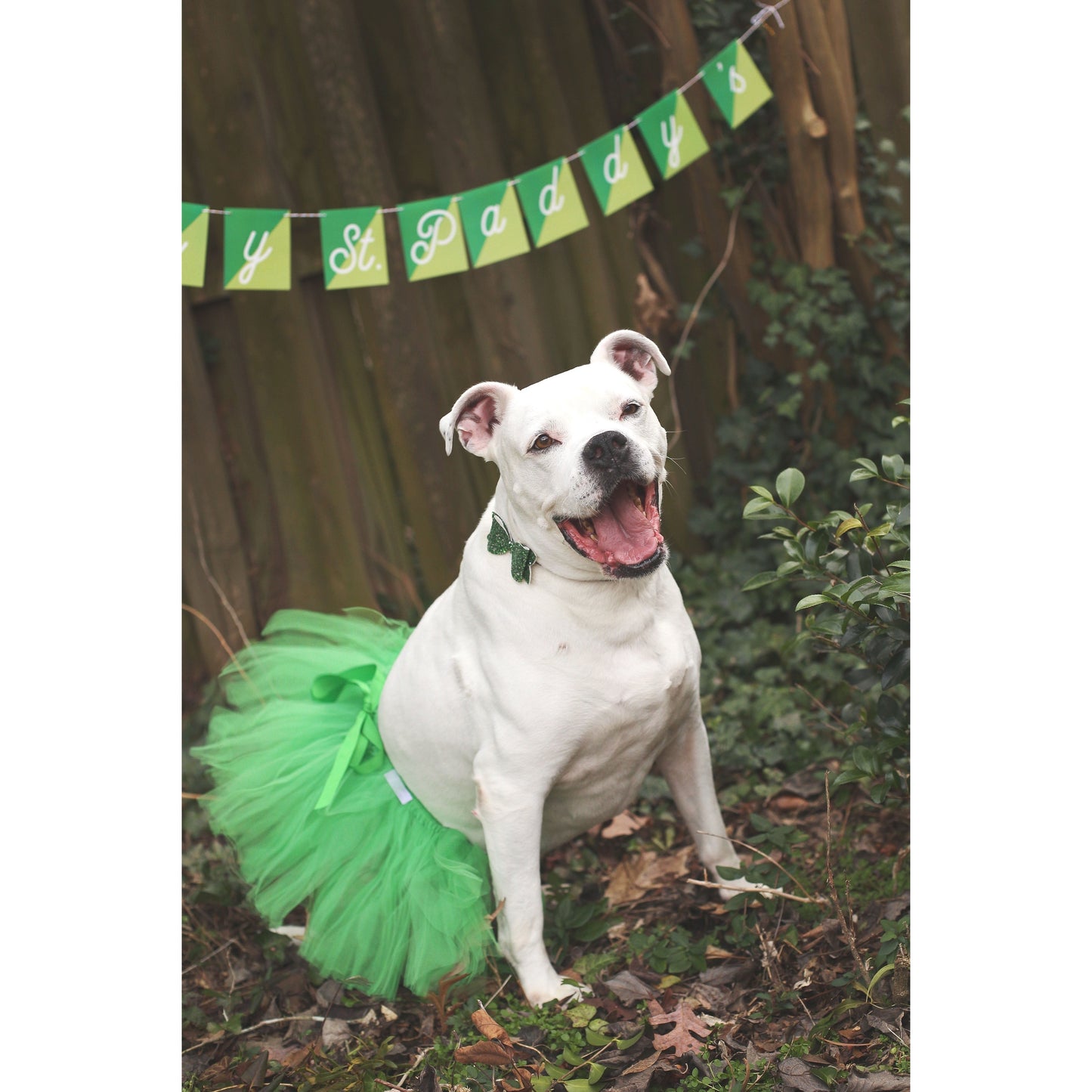 TD Green Christmas Dog Tutu Skirt Polyester XS Small XL Coat & T-Shirt Solid Pattern Accessory for Pet Protection & Dress up