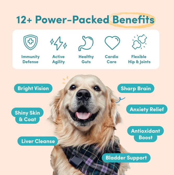 Multifunctional Pet Nutritional Supplements for Dogs Dog Vitamins for Optimal Health Care