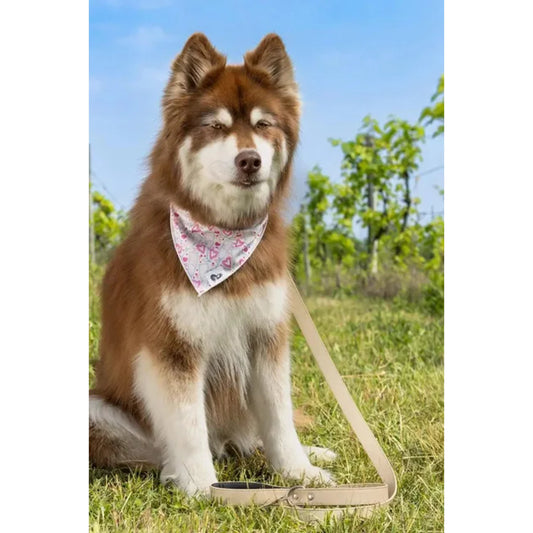 TD Cheers to Love Dog Bandana Stylish Pet Clothes for Dogs