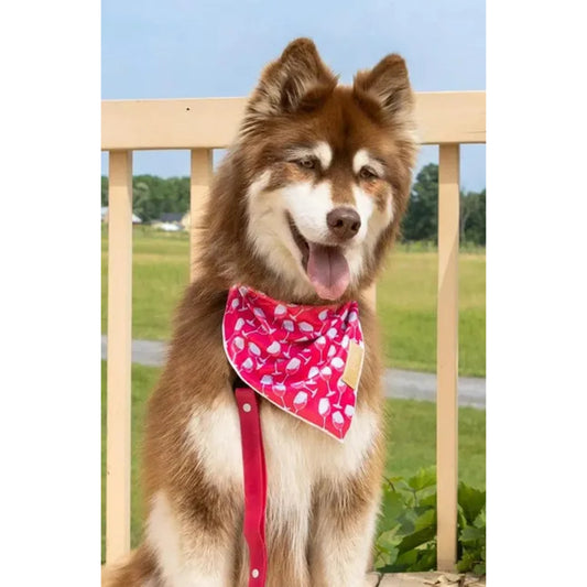 TD Red Mountain Syrah Dog Bandana Stylish Pet Clothes for Dogs