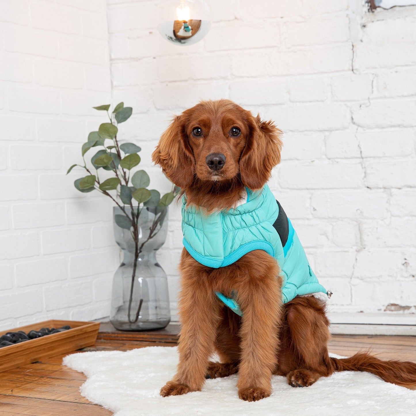 TD GF Luxury Classic Pet Alpine Puffer Coat in XS S XL XXL Sizes Breathable Polyester Accessory for Dogs