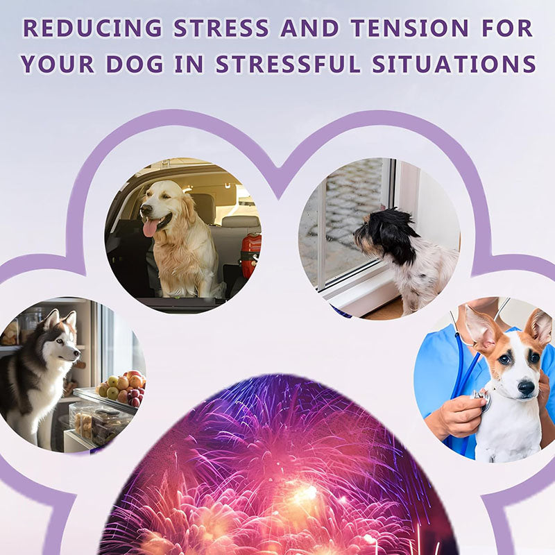 AONAI Calming Soft Chews for Dogs Anxiety and Stress Relief Healthy Sleep Supplements with Vitamins Pet Health Care