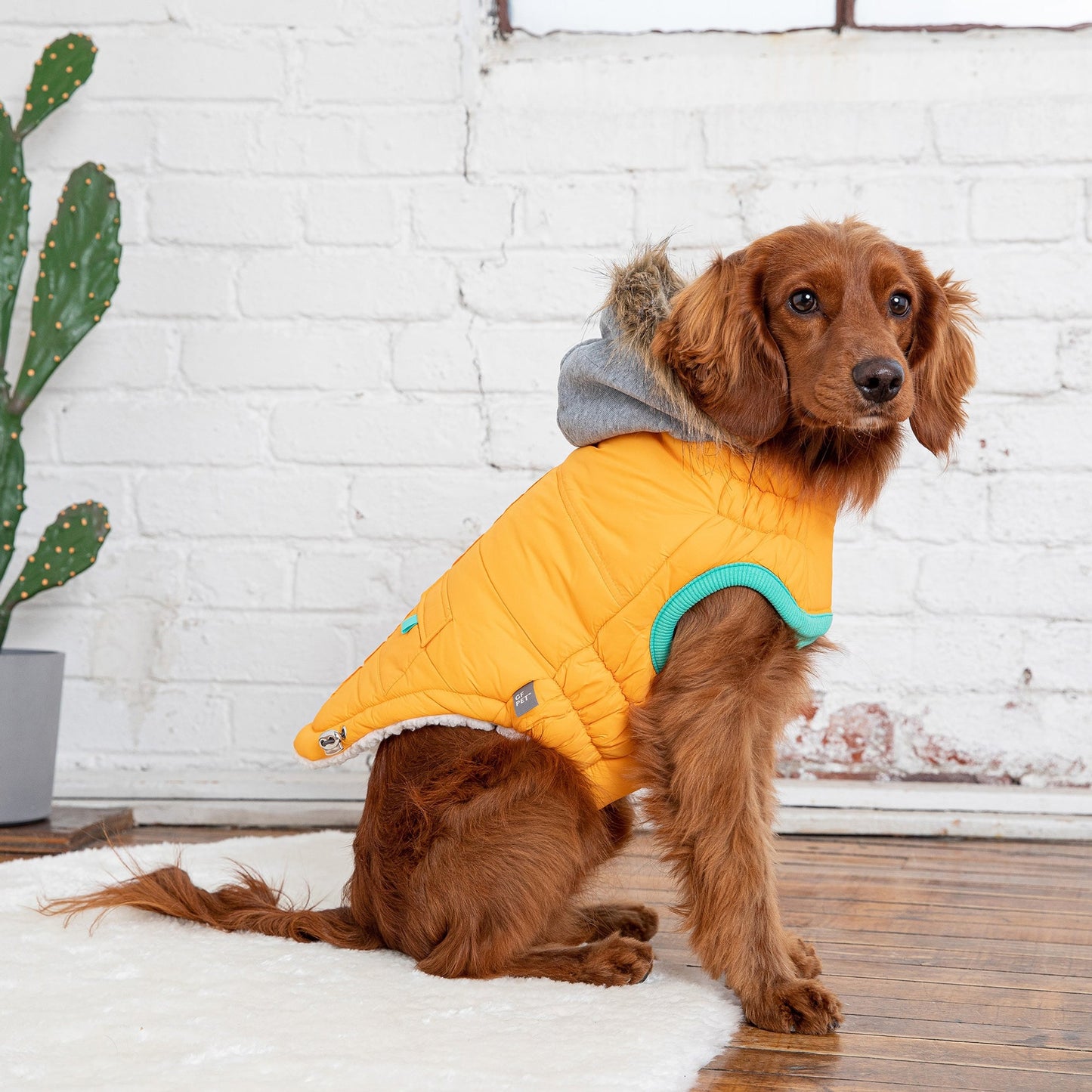 TD GF Classic Pet Sailor Parka Winter Fleece Coat in XS XL XXL for Cats and Dogs Floral and Solid Patterns Available