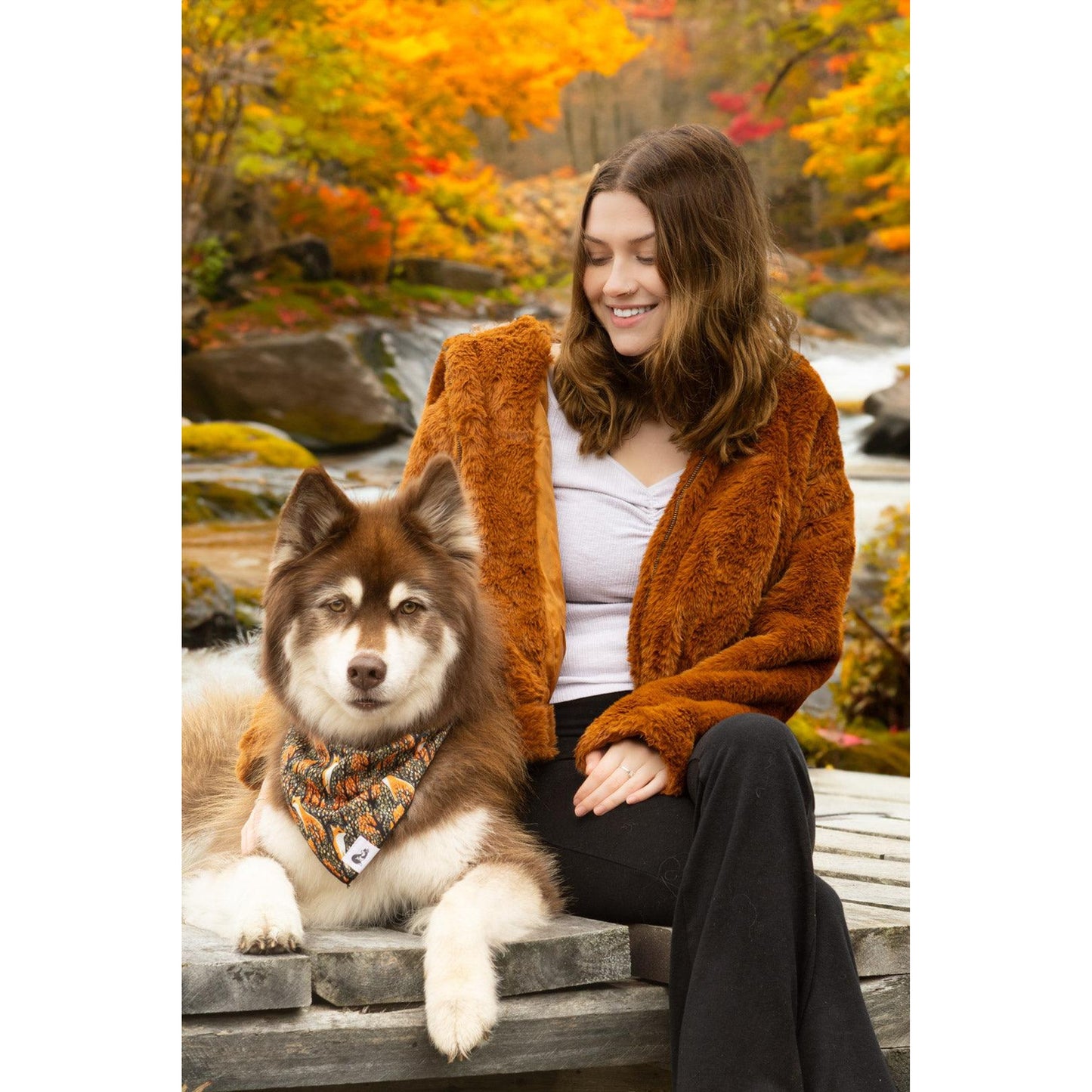 TD Fall Dog Bandana with Foxes Stylish Pet Clothes