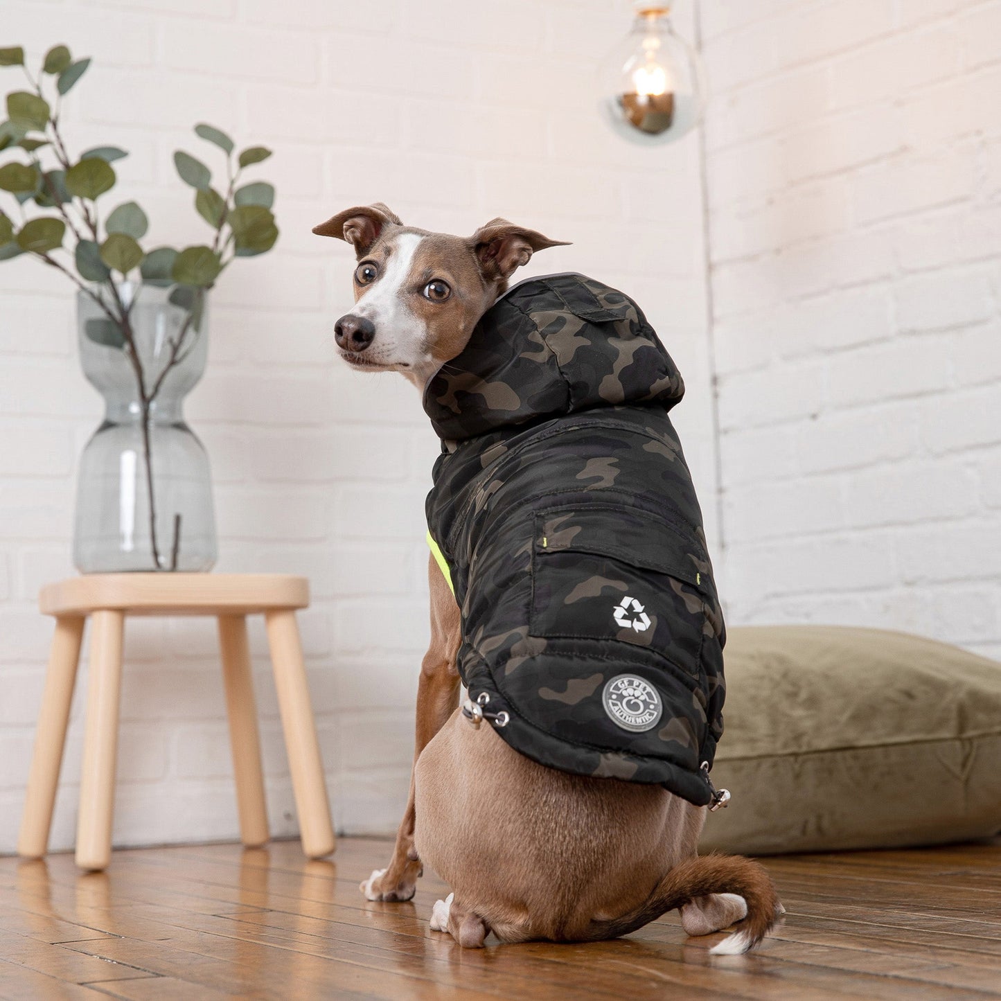 TD GF Pet Recycled Parka Classic XL/XXL Dog Coats Solid Pattern Autumn Winter Accessory Made Polyester Cotton Fleece Cloth