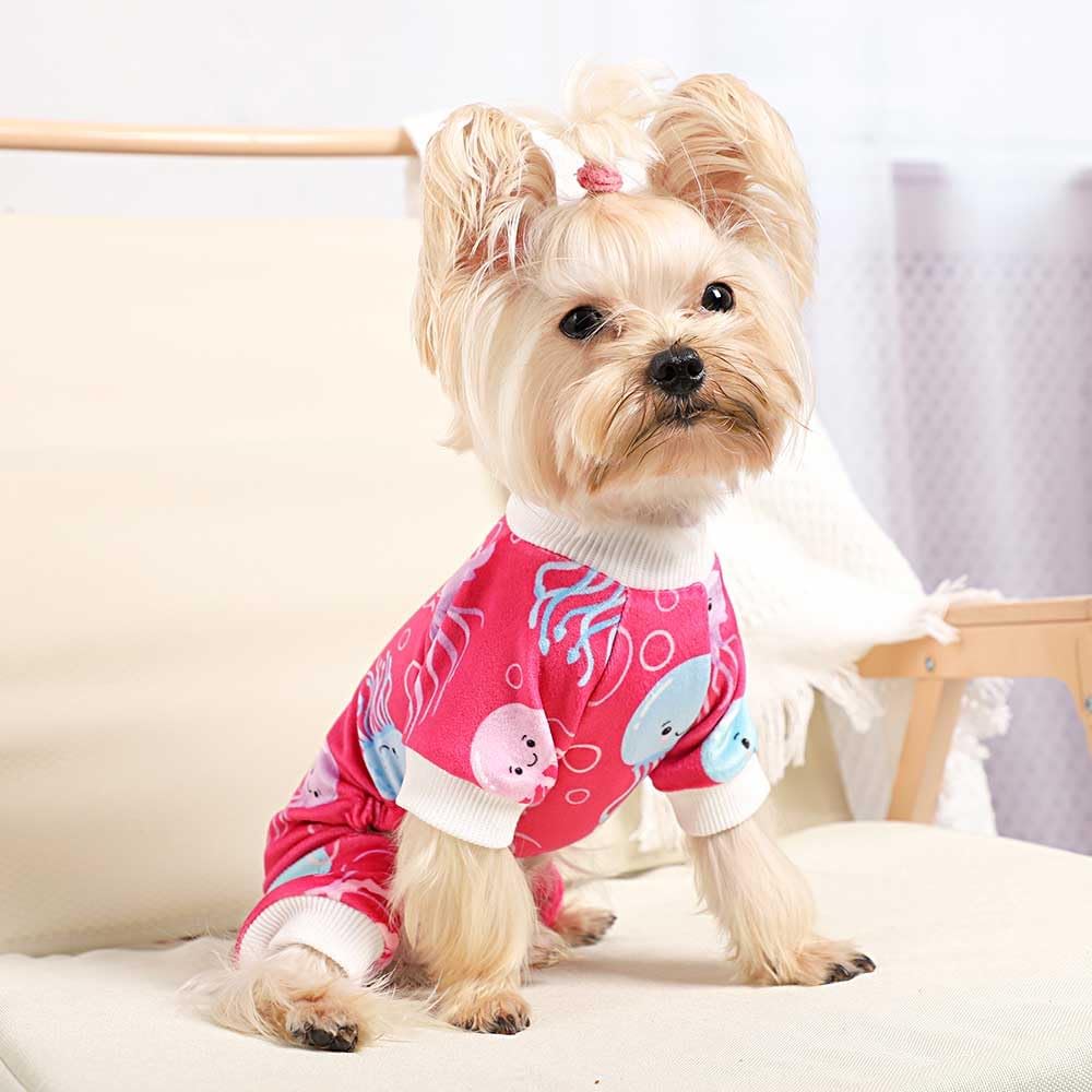 Dog Jumpsuit Cute Cartoon Animal Print Velvet Puppy Warm Clothes